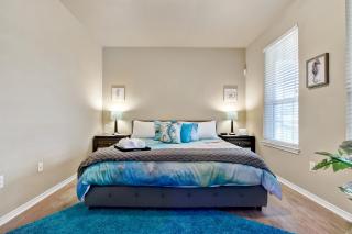 Aqueous - A Birdy Vacation Rental - San Antonio - 6