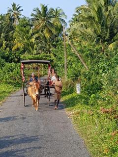 Star Home Stay Bentota - Bentota - 9