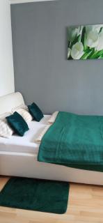 APARTAMENT FOCHA - Częstochowa - 6