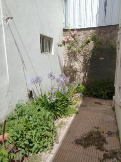 Departamento ph amplio necochea Rotonda - 6