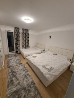 PENSIUNEA NASUI - Vişeu de Sus - 4