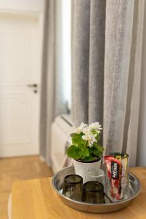 Luxury rooms 12-2 - Plovdiv - 4