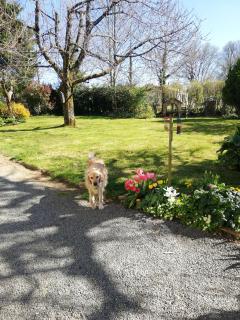 Papillons B&B - beauty, comfort and peace 25 mins from Puy du Fou - Montournais - 6