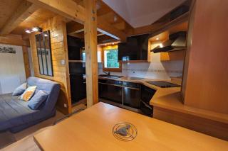 Chalet nordique au coeur de la Feclaz - La Féclaz - 9
