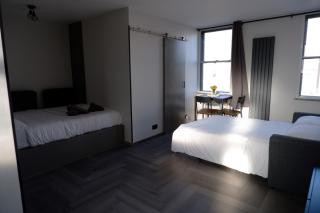 Studio Suite in Pimlico/Victoria - London - 2