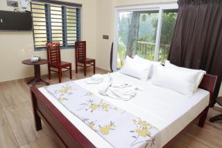 Nisarga Ayurveda - 8