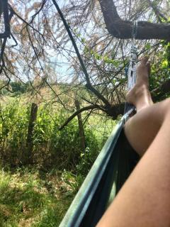 Gîte 4 pers, Jacuzzi, Piscine, proche Futuroscope, calme et nature à La Roche Posay - 1