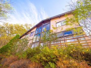 Nasugun - House - Vacation STAY 15881 - Kuroiso - 9