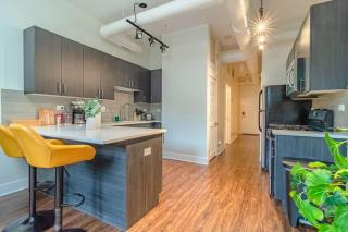 McCormick Place 420 friendly 3Br/2Ba with optional Parking - Chicago - 3