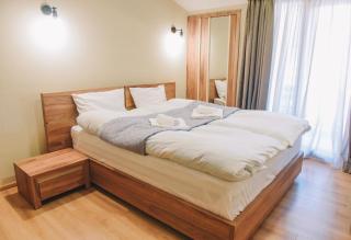 MaRKoS flat in Bakuriani Inn - Bakuriani - 0