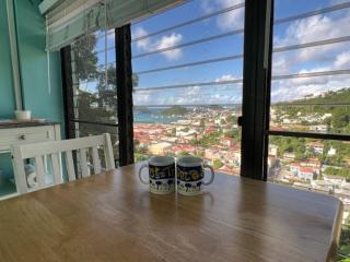 The Green Iguana Hotel - Charlotte Amalie - 4