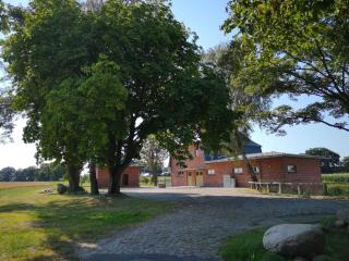Bahnhof Hohen Mistorf - Ferienwohnungen - Hohen Mistorf - 4