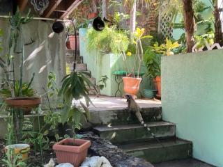 The Green Iguana Hotel - 3