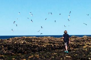 Mandalei, Refugio De Mar - 6