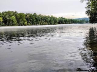 Lakefront Casita - Perfect for couples or families - Hot Springs - 7