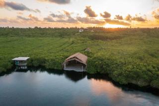 Stunning Jungle Treehouse with Lakefront & Beachside - Tulum - 9