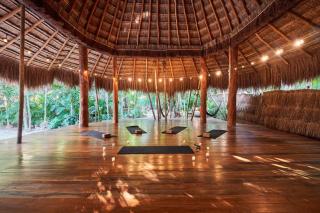 Stunning Jungle Treehouse with Lakefront & Beachside - Tulum - 7