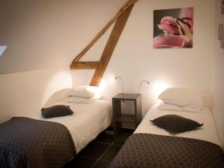 Gîte Val de Loire avec piscine chauffée, tennis, WIFI, BBQ - FR-1-590-125 - Sigloy - 3