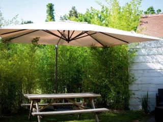 Gîte Val de Loire avec piscine chauffée, tennis, WIFI, BBQ - FR-1-590-125 - Sigloy - 1