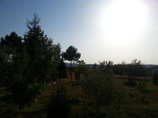 Domaine Les Bles - Manosque - 5