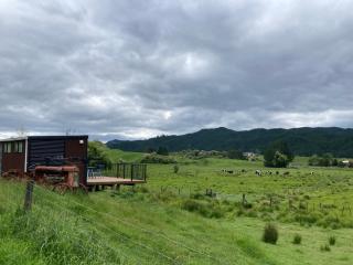 White Pine Bush Cabins - Otangihaku - 1