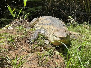 Adventurelalotour - Quepos - 1