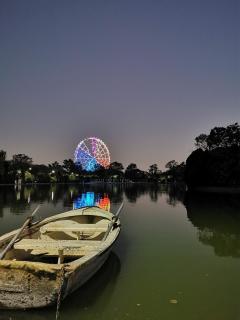 Pasa una noche en el Bosque de Chapultepec - Ciudad de México - 4