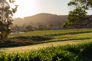 Coolangatta Estate Shoalhaven Heads - Berry - 1