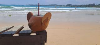 Moonlight beach - Dickwella - 1