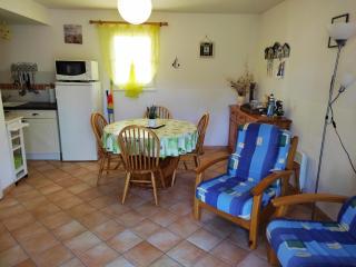 Maison avec piscine chauffée, à 500m de la plage et proche forêt - Terrasse, vélos inclus - FR-1-652-3 - 2