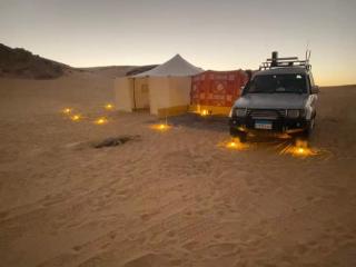 Nuba falcon - Assuan - 9