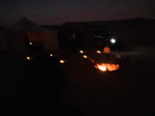 Nuba falcon - Assuan - 7