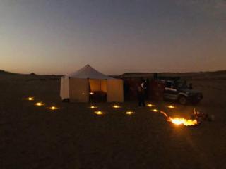 Nuba falcon - Assuan - 6