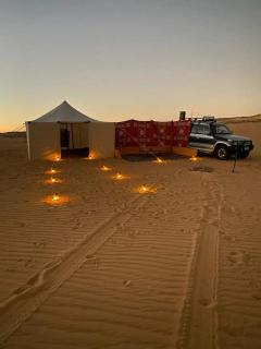 Nuba falcon - Assuan - 3