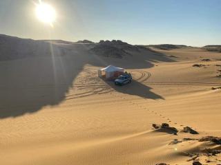 Nuba falcon - Assuan - 2