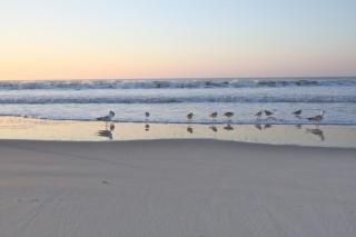 Carolina Breezes West - Isle of Palms - 4