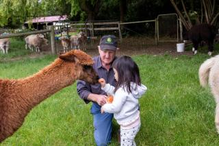 Bellevue Farmstay - 0