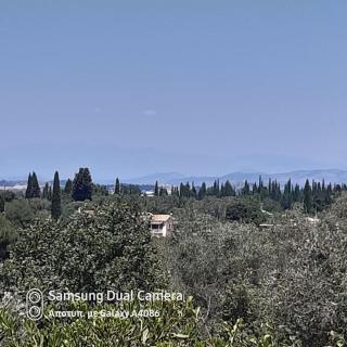 villa olga-corfu - Kynopiástai - 9