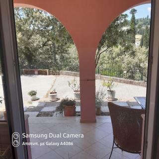 villa olga-corfu - Kynopiástai - 8