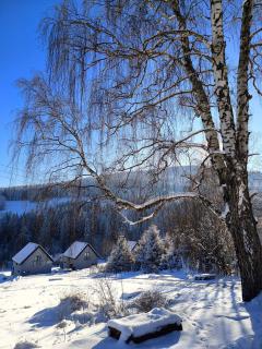 Widokówka Kletno - 7