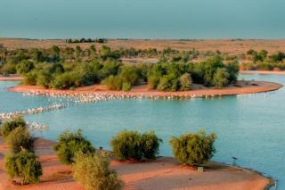 Al Qudra Lakes Camping by Hyba - 8
