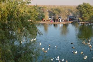 Al Qudra Lakes Camping by Hyba - 6