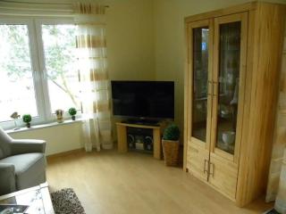 Wohnung 6 im EG Haus Stranddistel, komfortable Ferienwohnung fur 4 Personen in Zingst - Zingst - 6