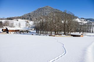 Bindenhäusl - Ramsau - 1
