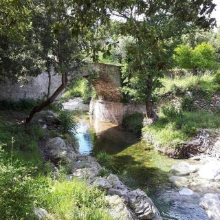 Villa Patrimonio - 1