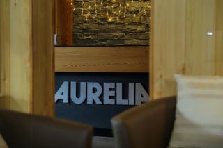 Hôtel Aurélia - Saint-Lary-Soulan - 1