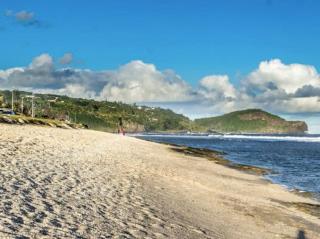 Les lataniers 1 - Vue sur mer - 3