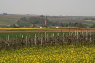 Ferienwohnung Wassergasse - 7