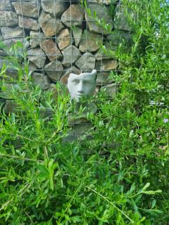 The Blyde Riverwalk Estate - 9