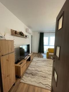 Puzzle Studio 2 - Bucharest - 2